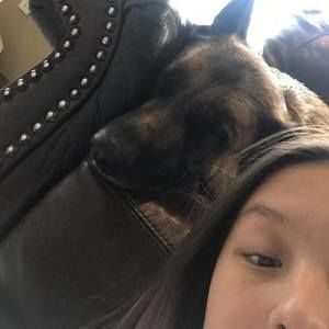 Meet your Posher, Joanna